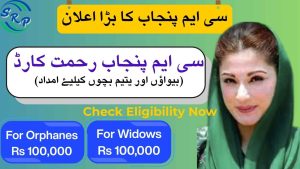 CM Punjab Rehmat Card